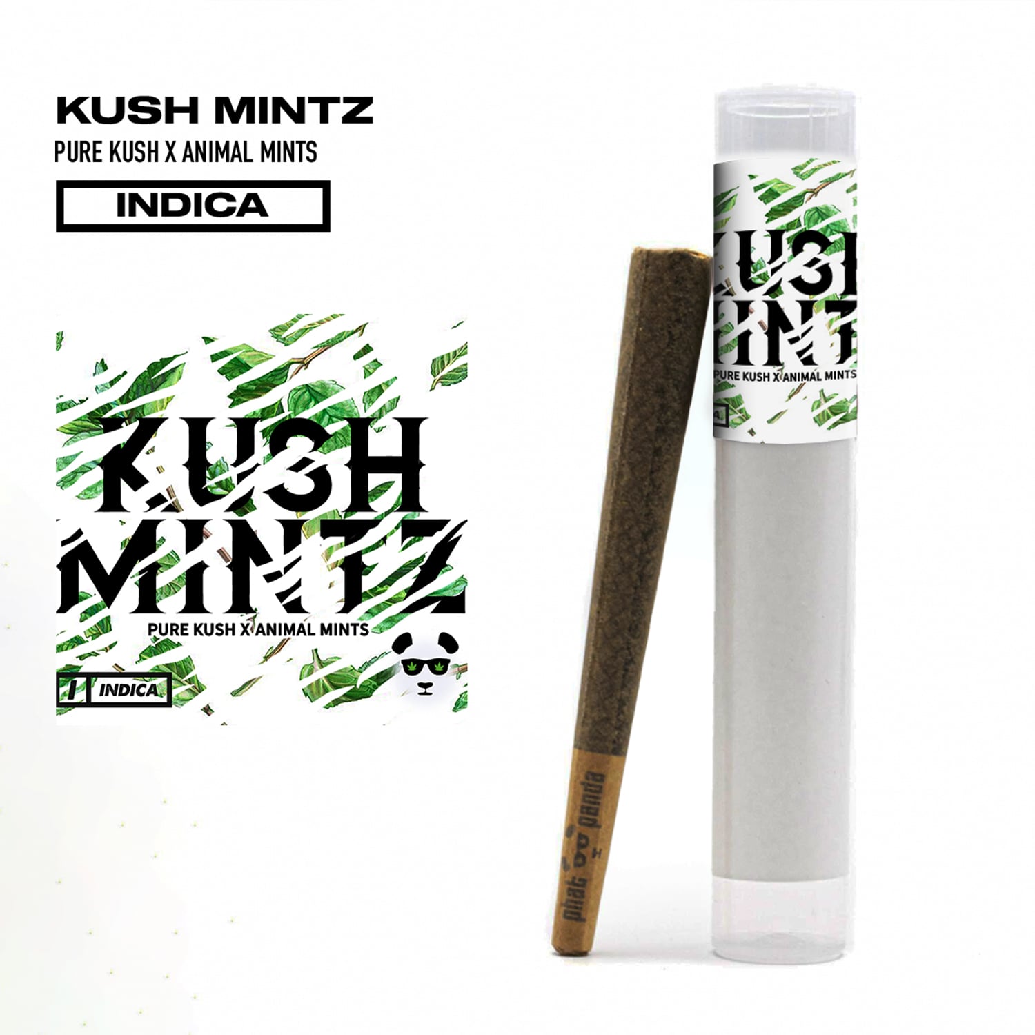 Kush Mintz