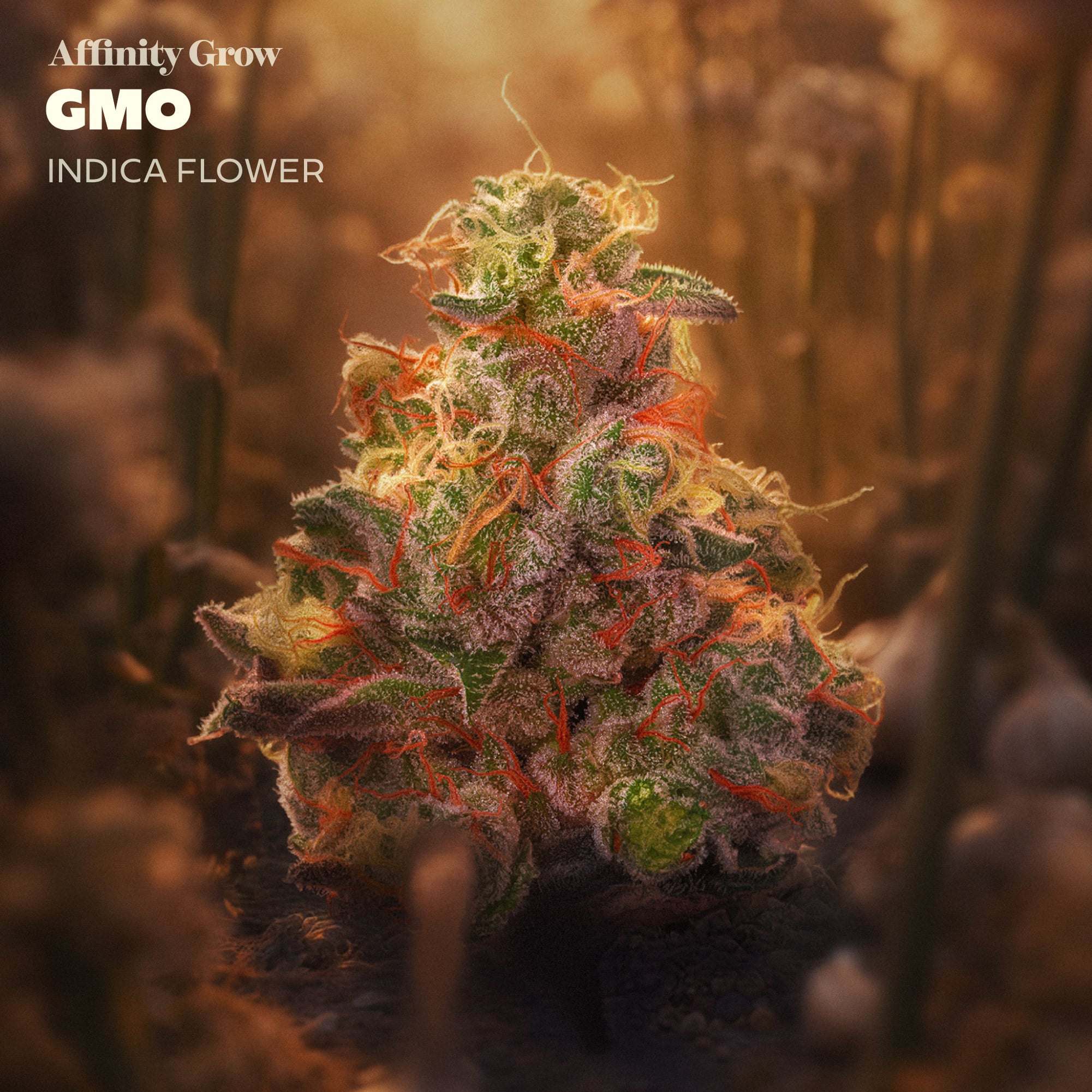 Affinity Grow - GMO (I) Flower  C0090000977