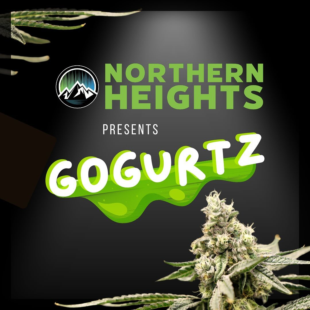 Gogurtz