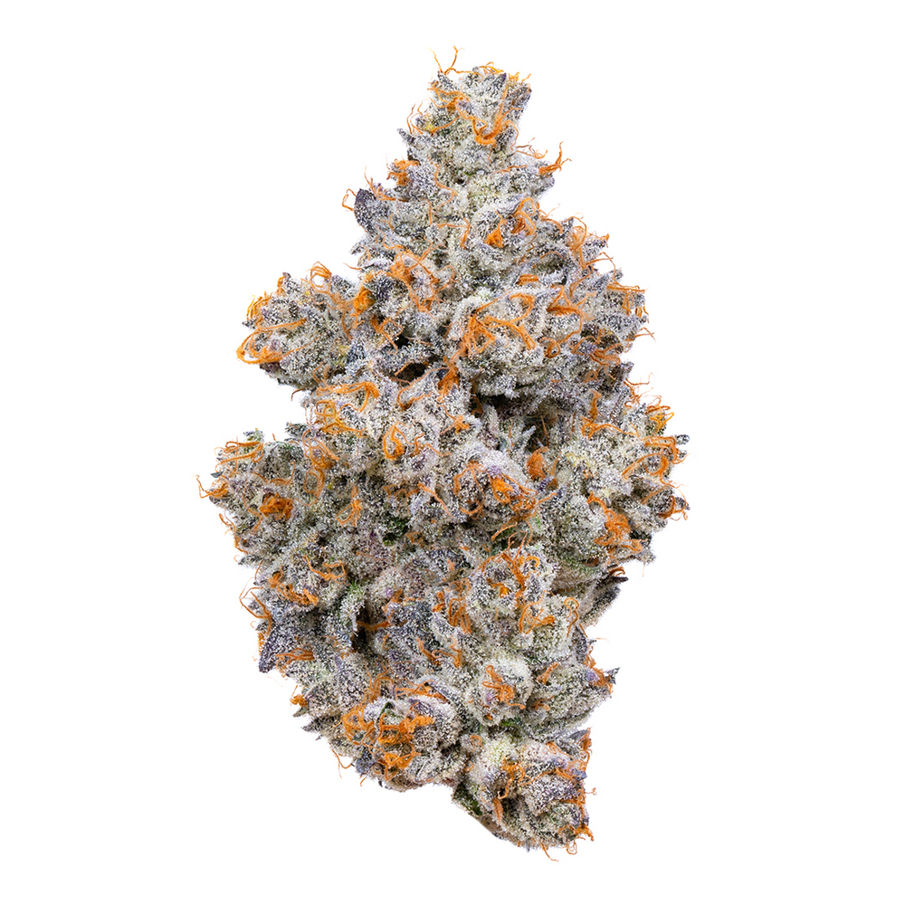 Nightshade [10g] view 2