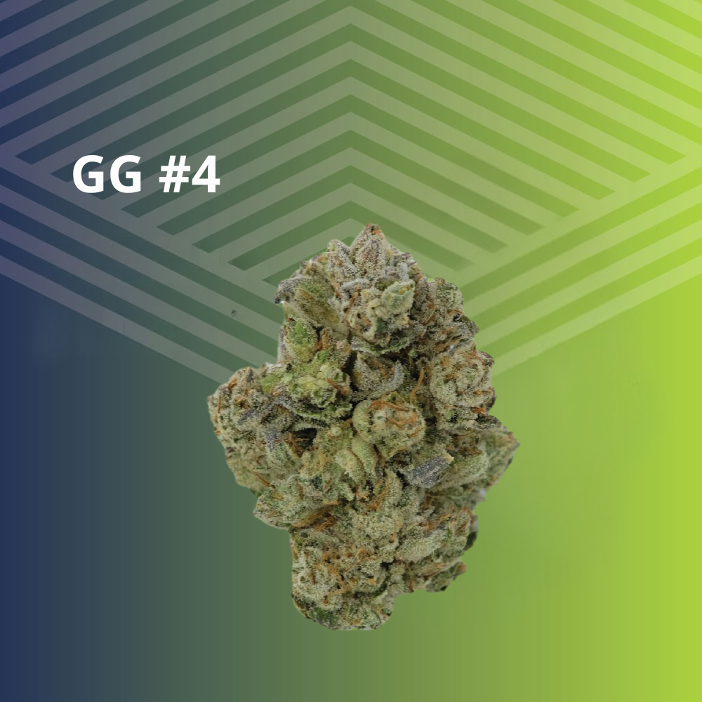 GG #4