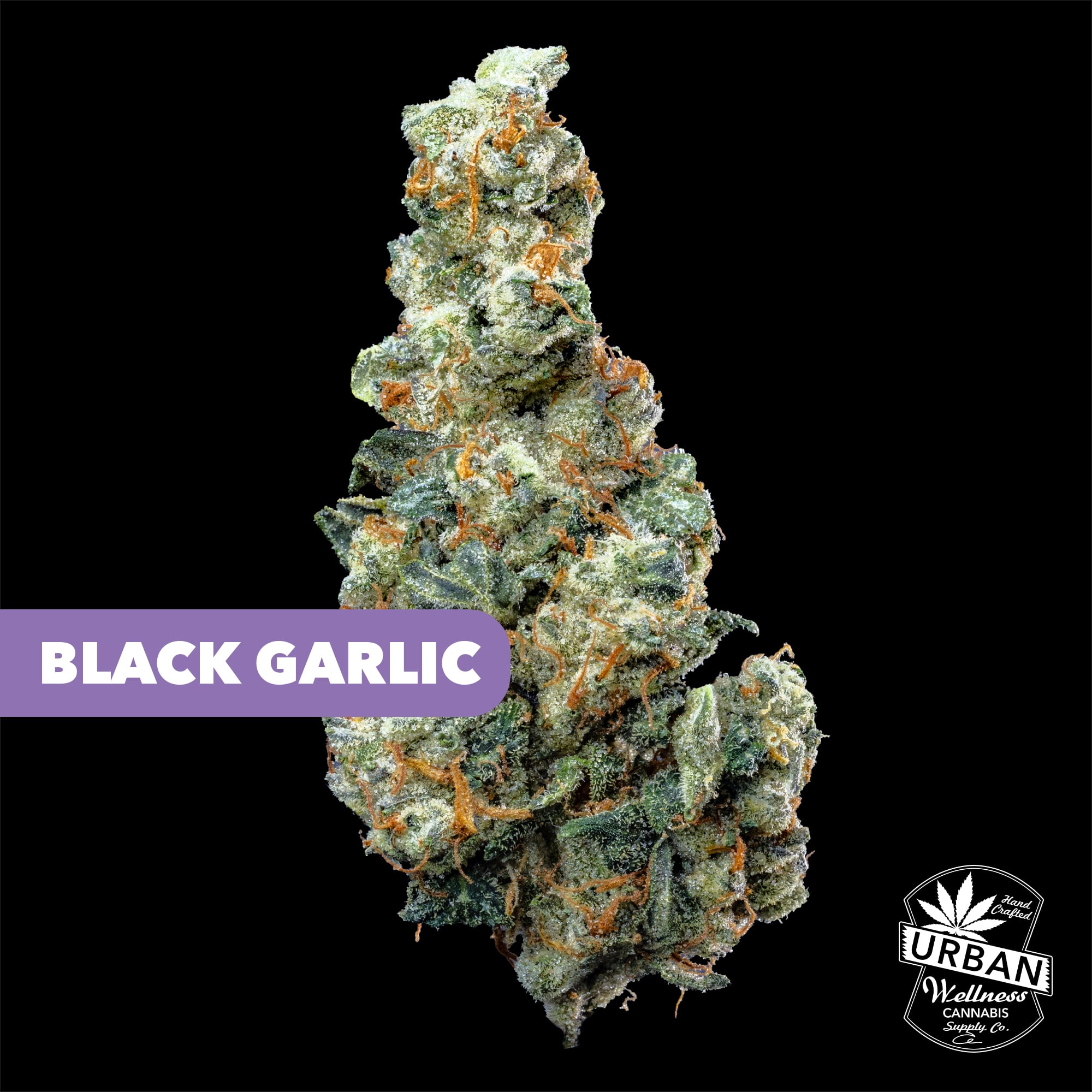 Black Garlic