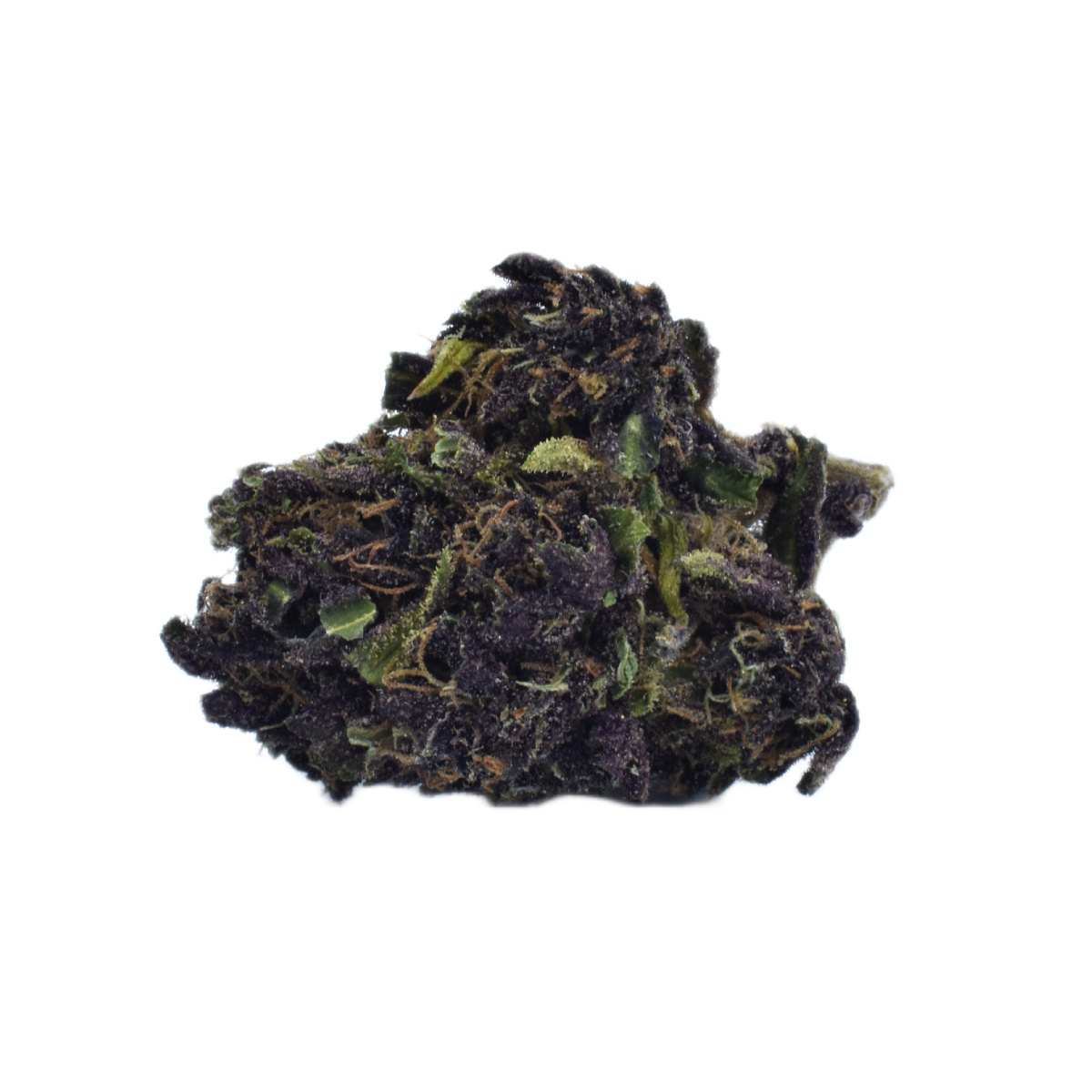 #26 Reserve (AKA Ocimene Queen)