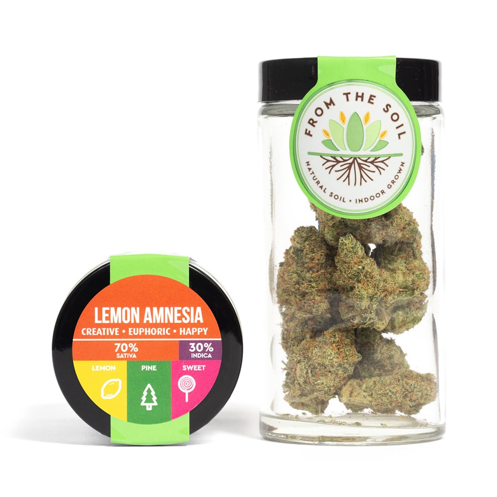 Lemon Amnesia