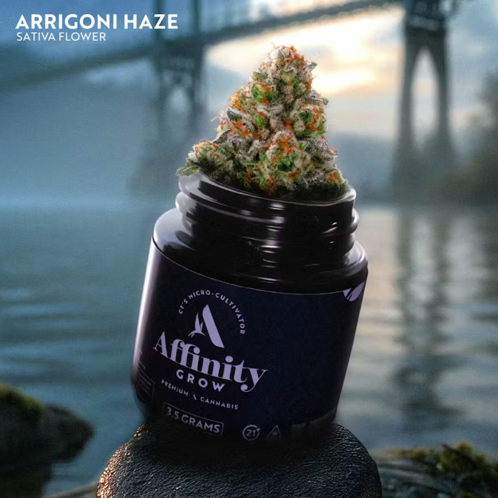 Affinity Flower Arrigoni Haze (S) 00812