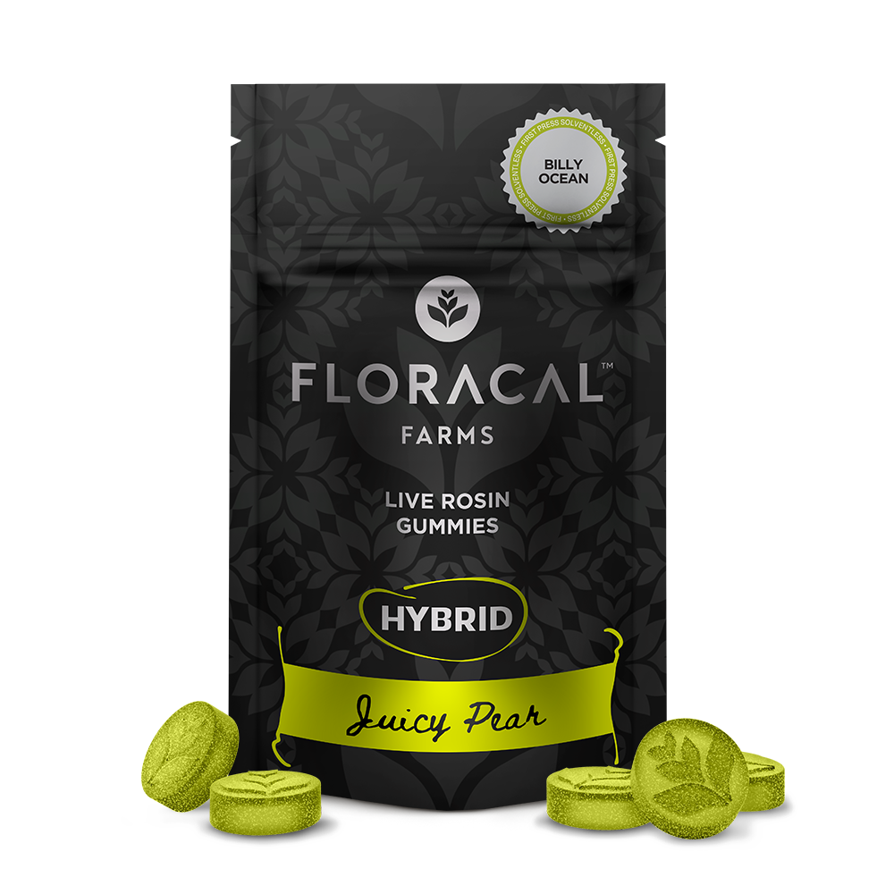 Live Rosin Gummies - Juicy Pear - Billy Ocean [10pk] (100mg)