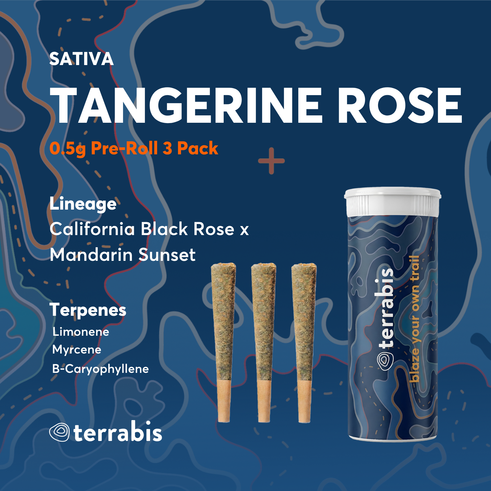 Tangerine Rose [.5g] 3PK 1.5g Total