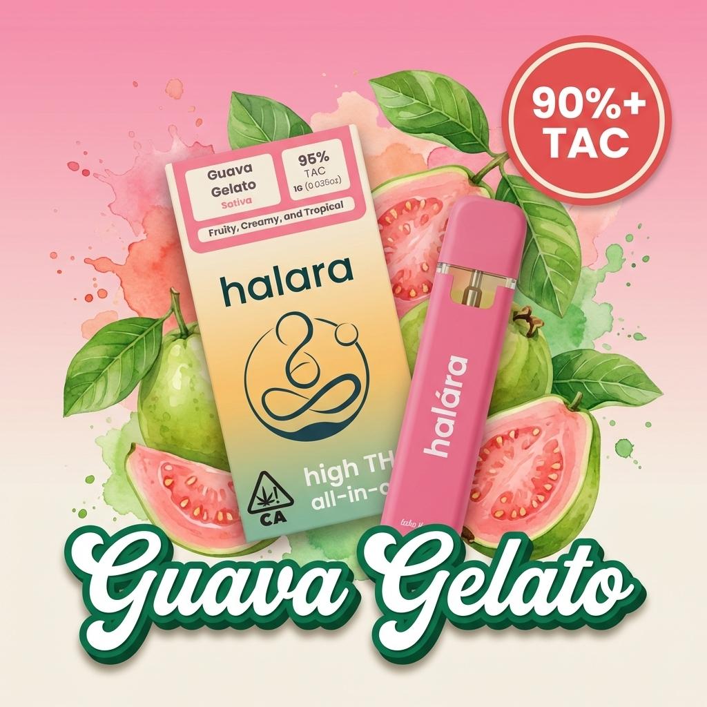 Guava Gelato AIO