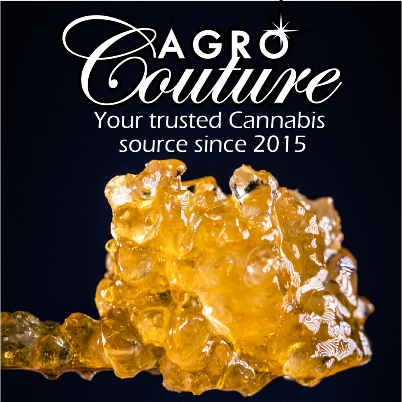 Shop Krypto Candy | Jane