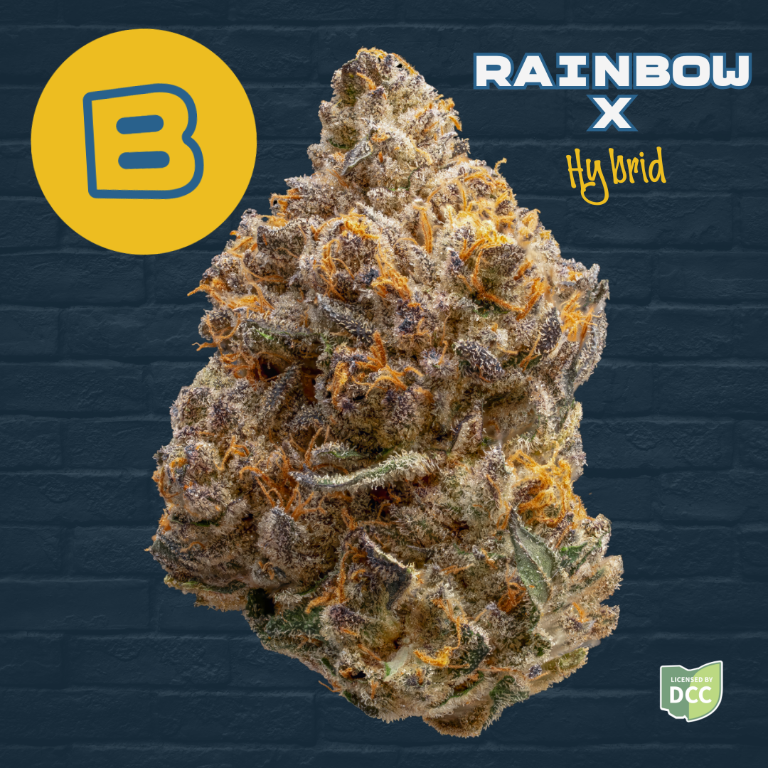 Rainbow X - 3.5g Whole Buds - Hybrid | Buckeye Relief | Bloom