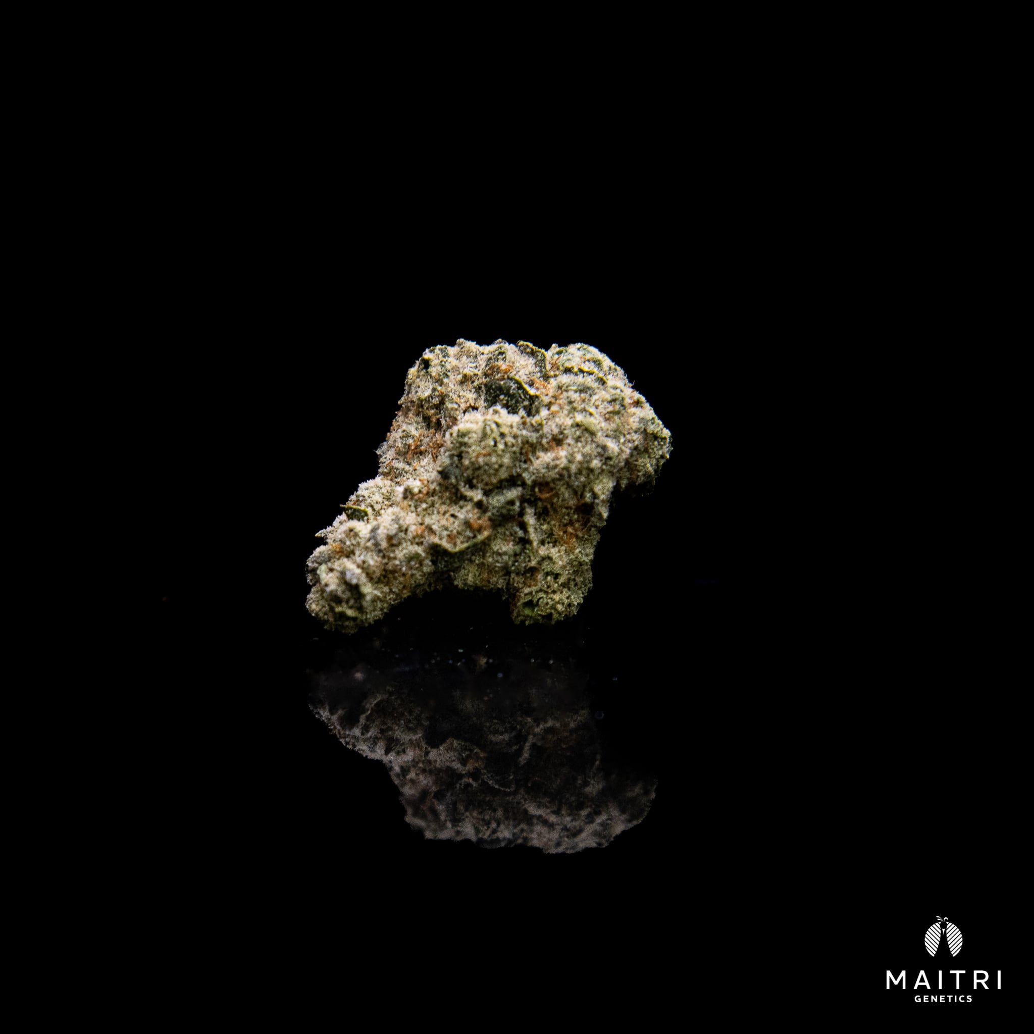 Papaya Bomb