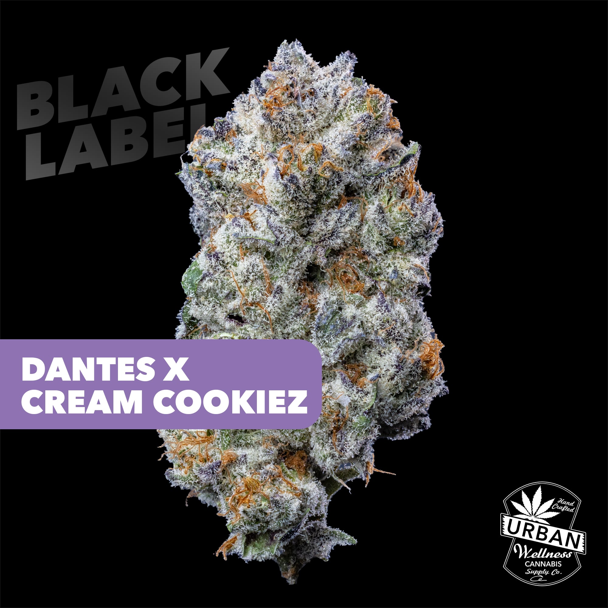 Black Label - Dantes x Cream Cookiez [4g]
