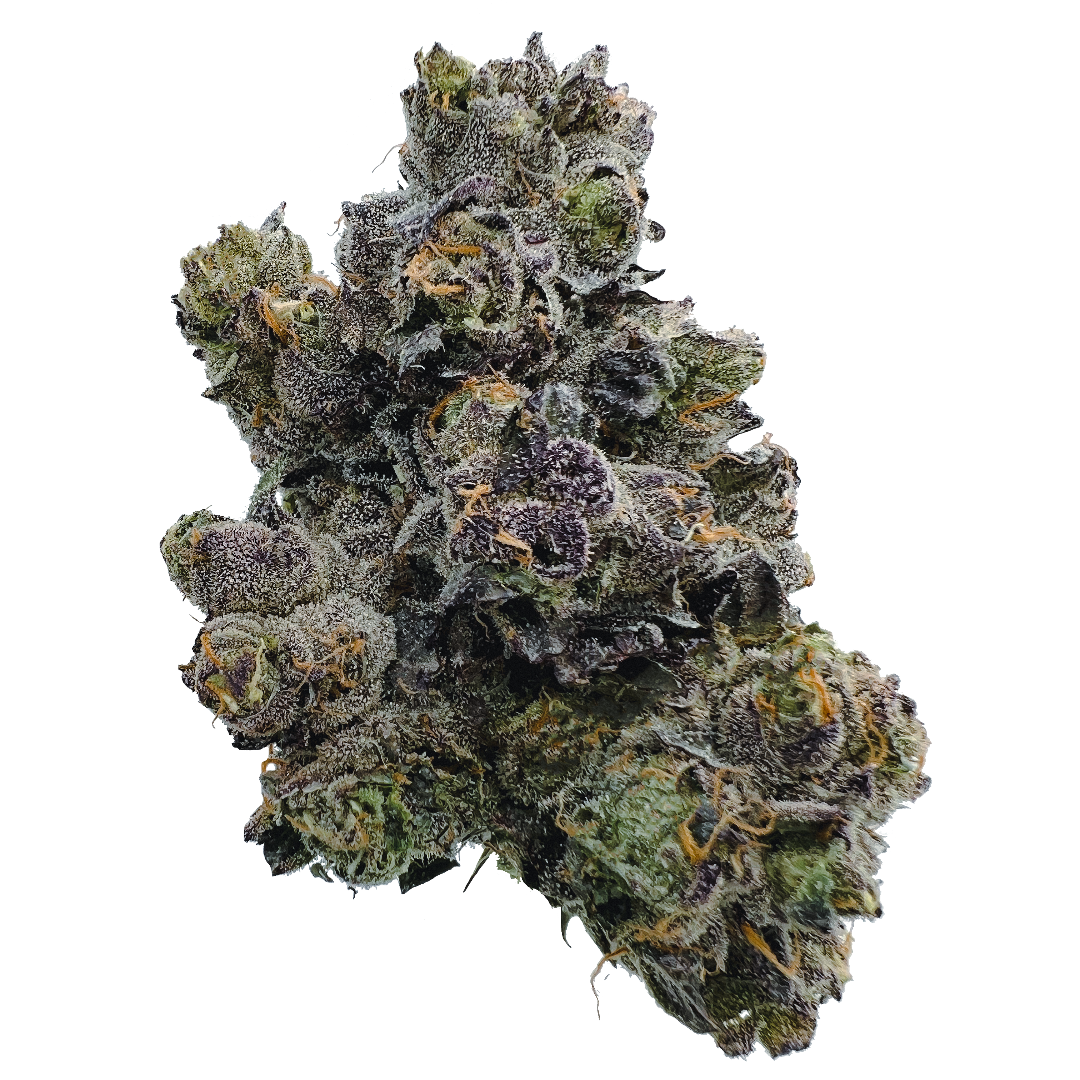 Sunset Sherbet Curated Cannabis Live Cured Flower Jane