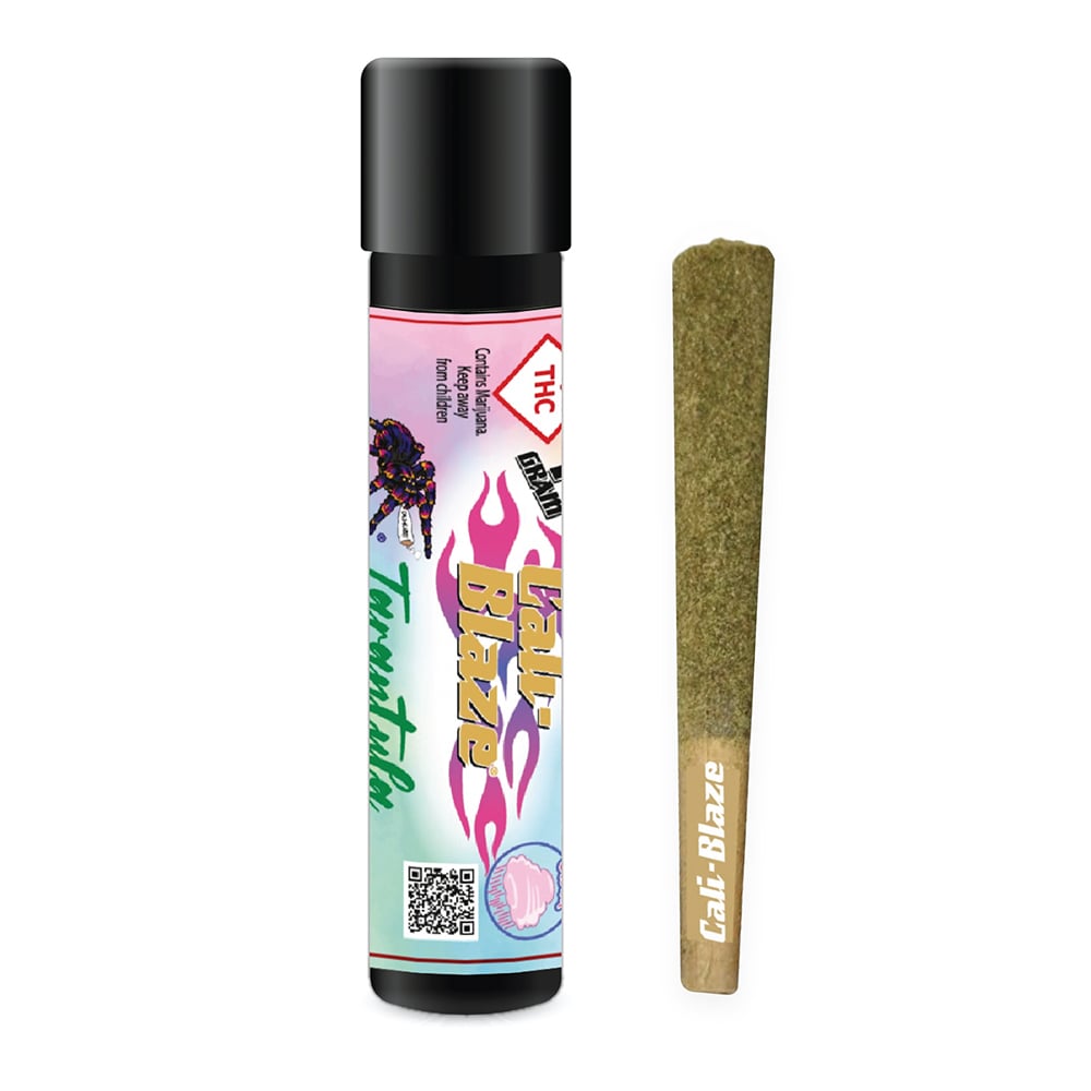 Cotton Cloud