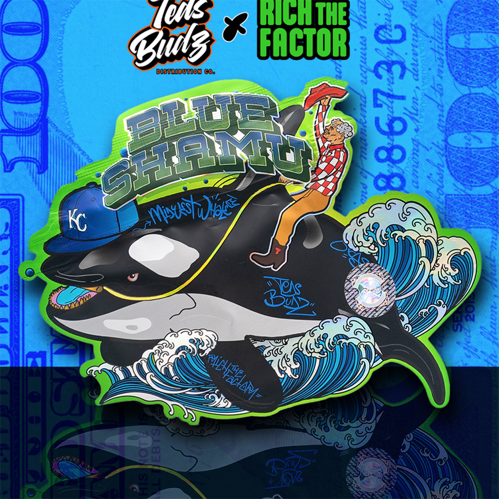 Blue Shamu Blue Shamu