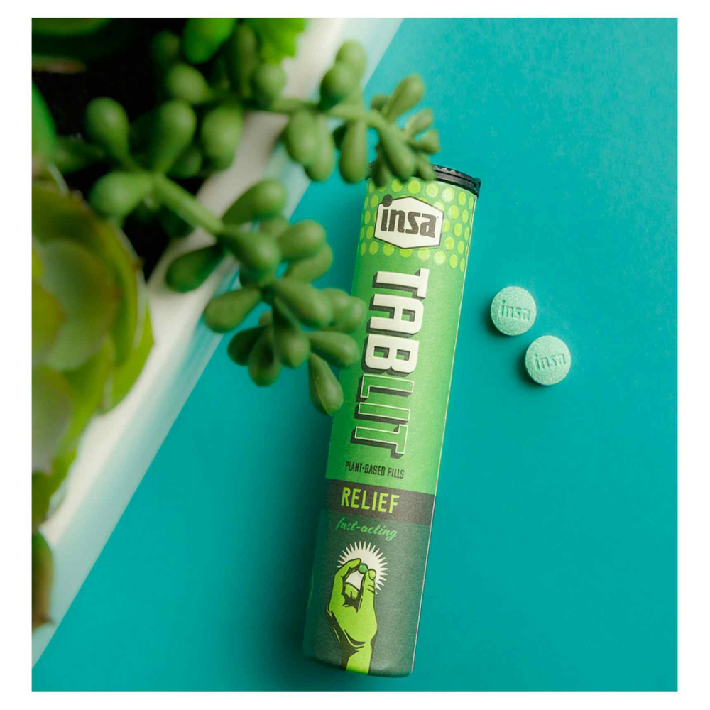 broad bean when to plant Beans-Fava-Broad Windsor  Hardy Seeds