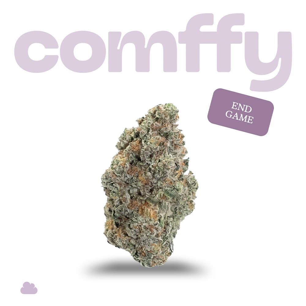 comffy - End Game (I) Flower