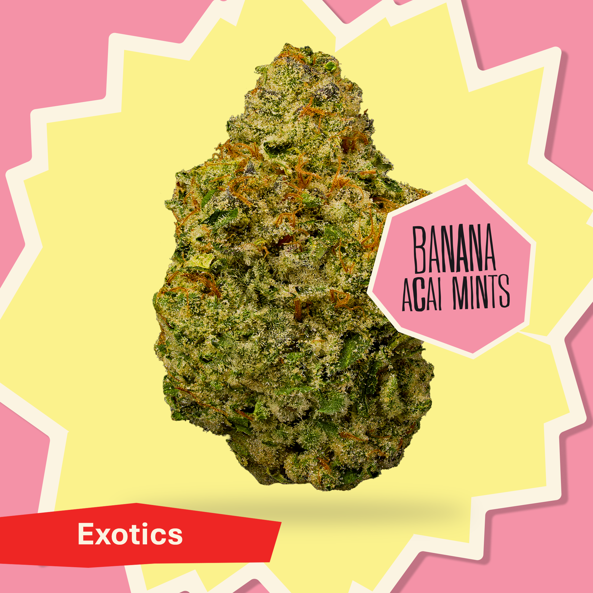 Banana Acai Mints