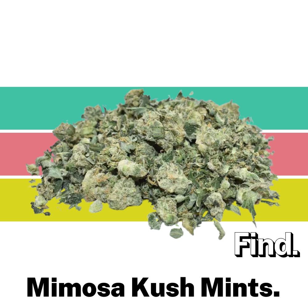 Mimosa Kush Mints