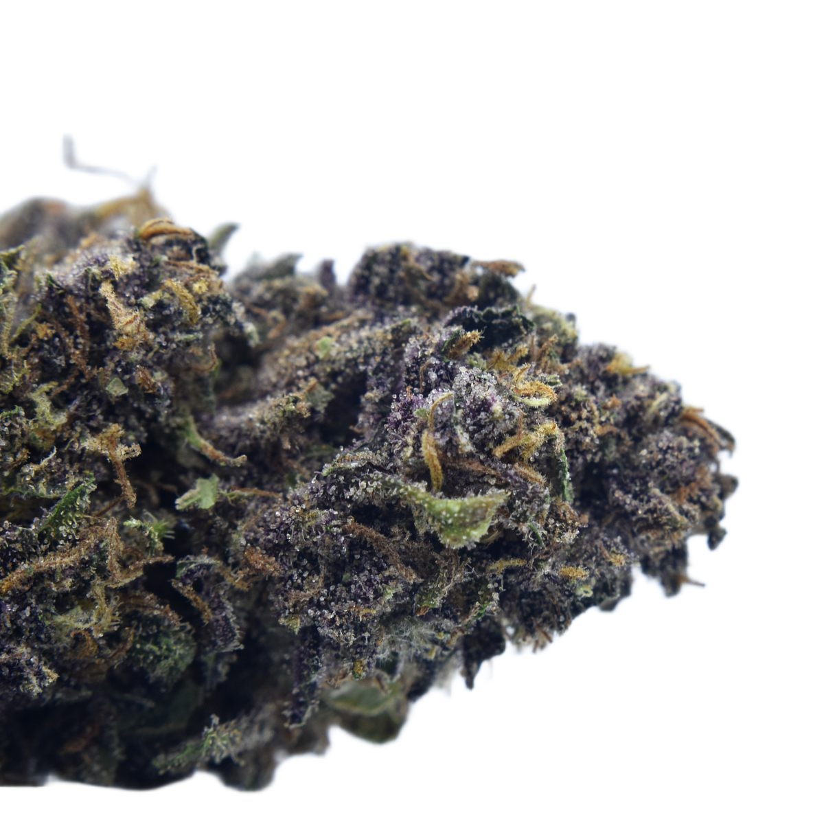 Shop Pink Jesus Reserve | Solful - Sebastopol Dispensary