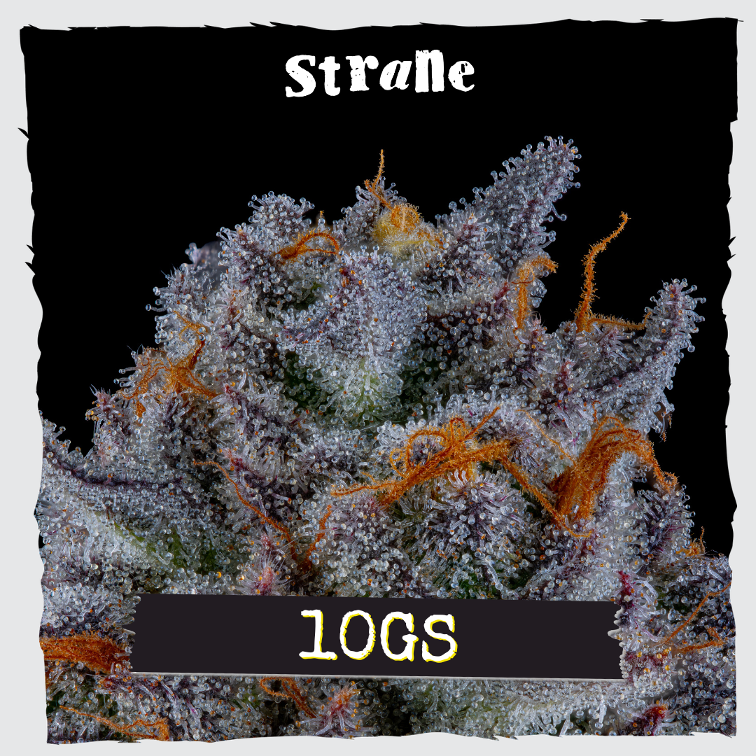 Shop 10Gs | Green Goods - Frederick, MD (MED) Dispensary Suite 13, MD