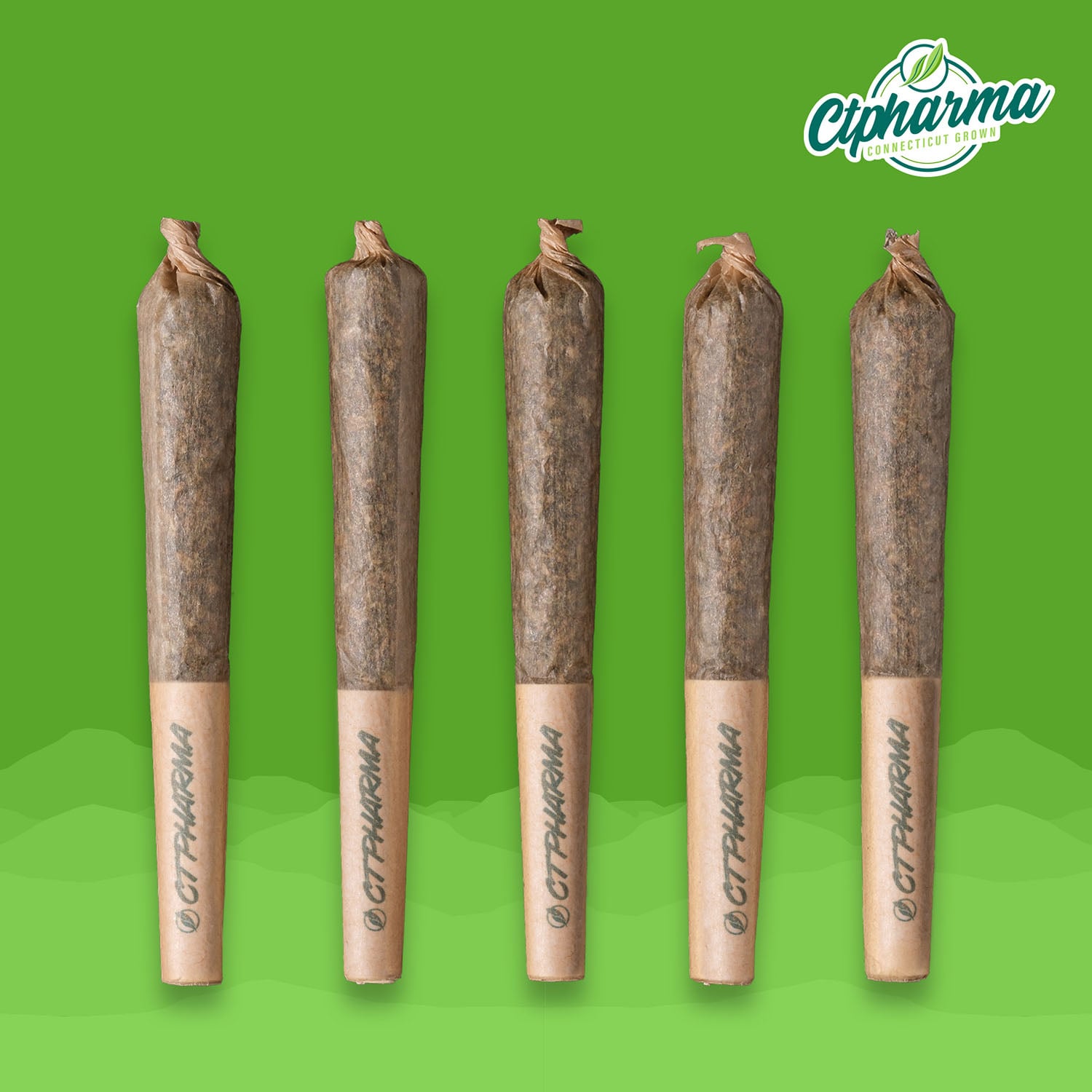 Shorties [] Dieselato (H) 26504