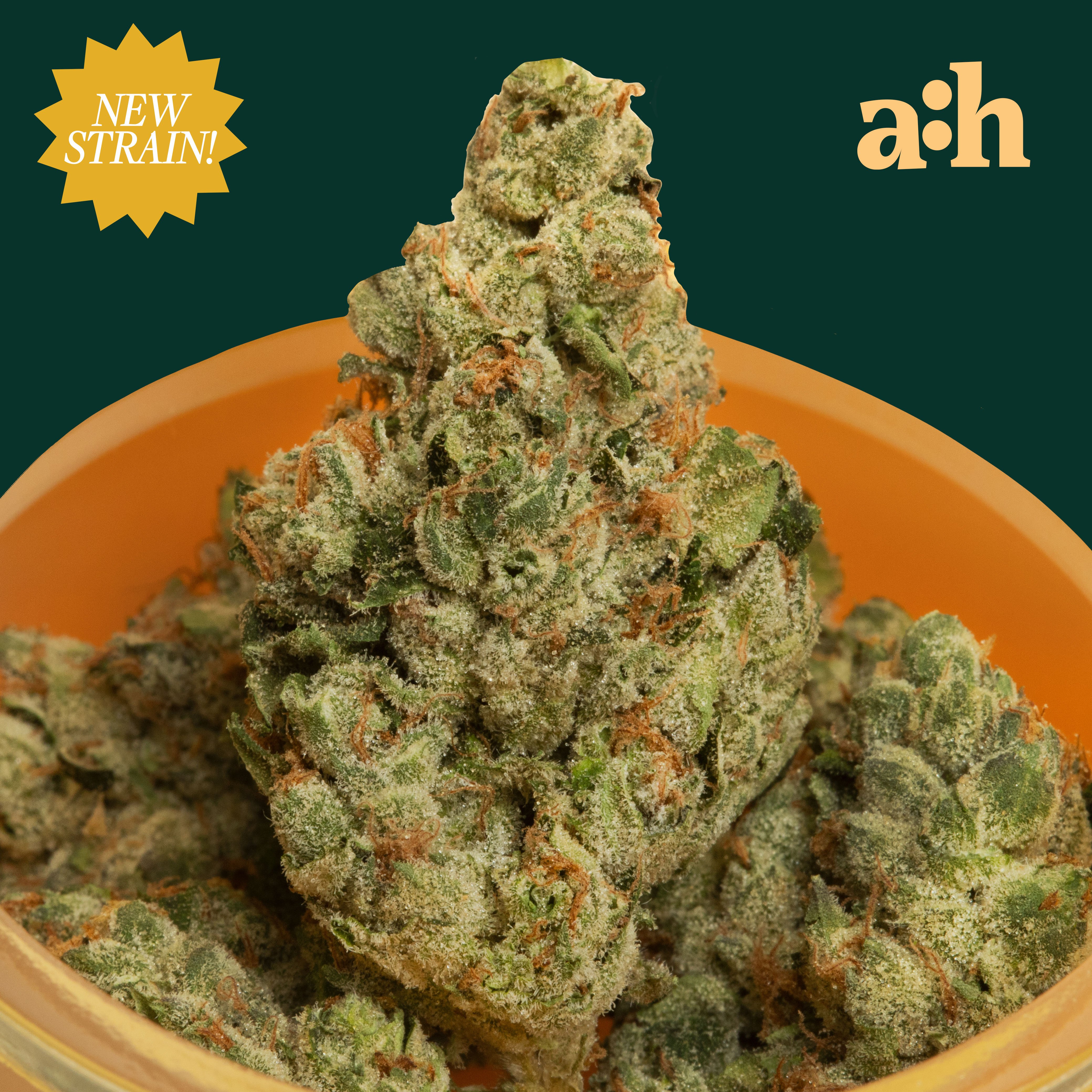 all:hours - Sour Zoda (S) Flower  C0040001811