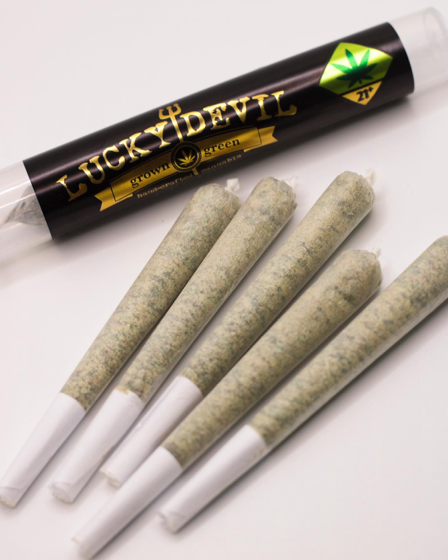 Mochi Gelato [1g]