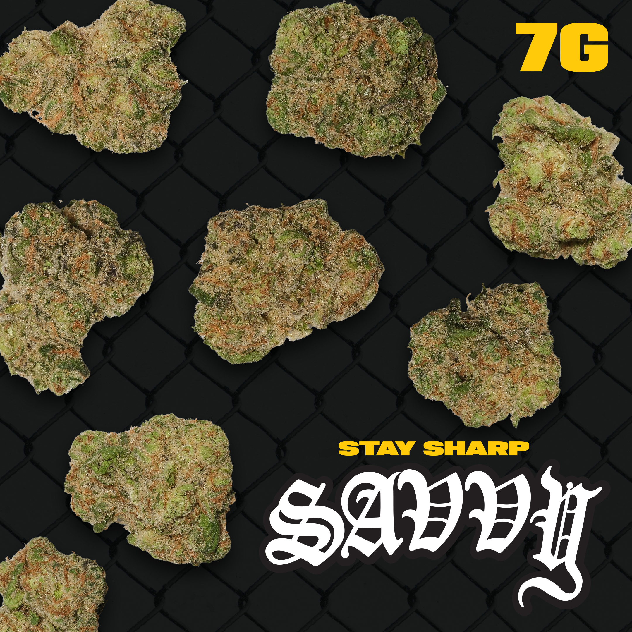 Smalls  Trophy Dawg (I) 26689