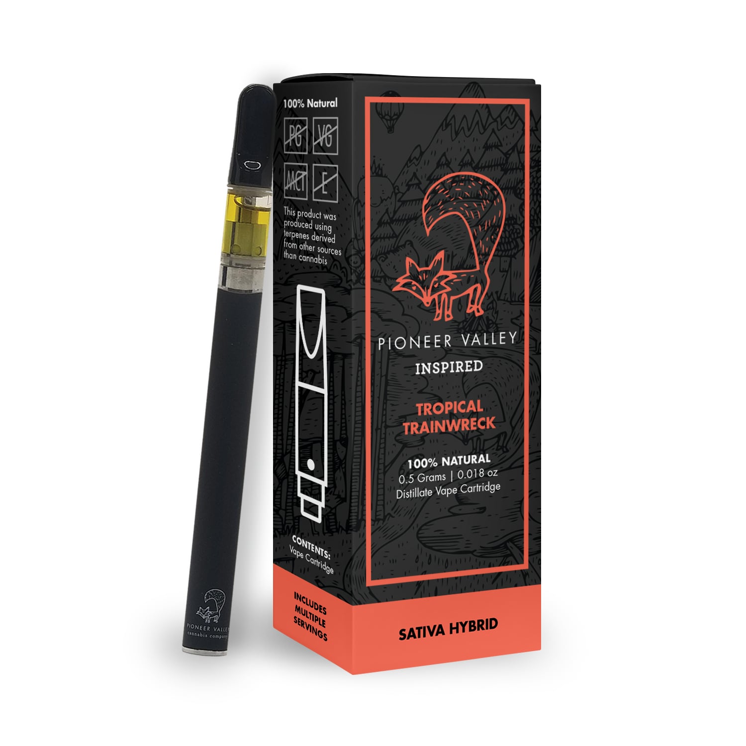 tobacco introduced to europe History of smoking