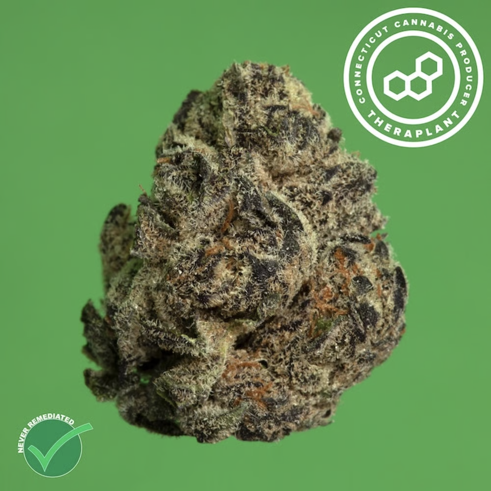 Theraplant - Permanent Marker (H) Flower  C0040001483