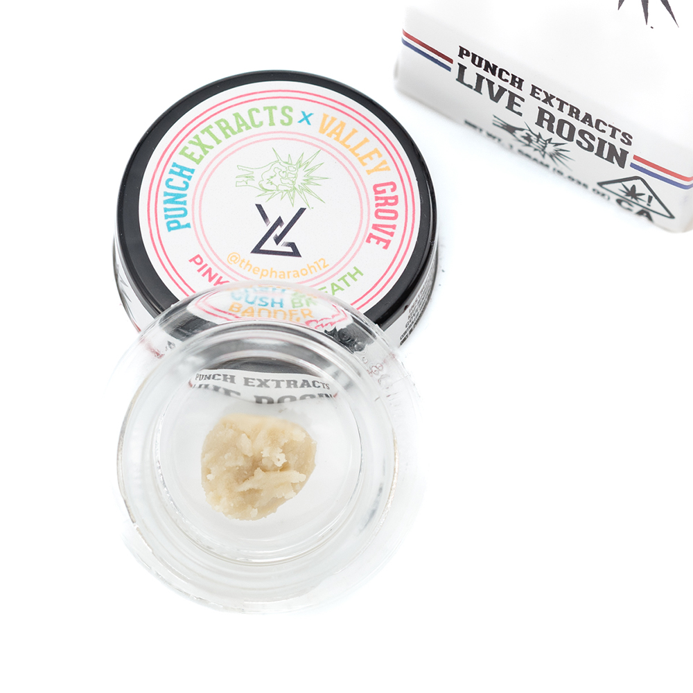 Pink Guava #3 Pink Guava #3