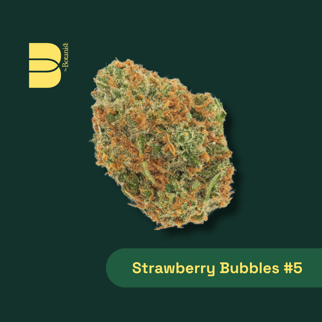 Strawberry Bubbles #5