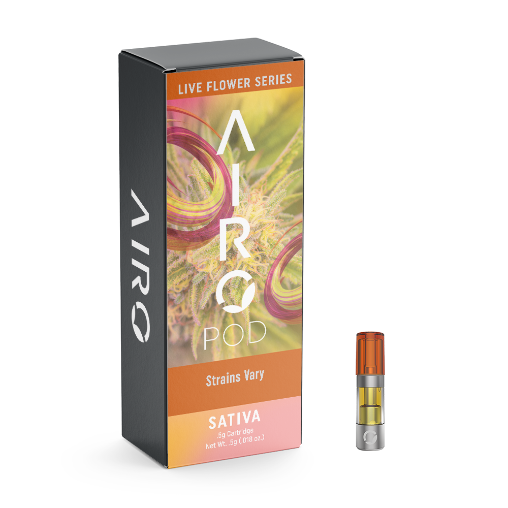 Shop Jack Fruit | Jane