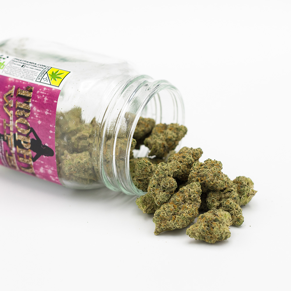 Trophy Wife Platinum Line Bong Buddies