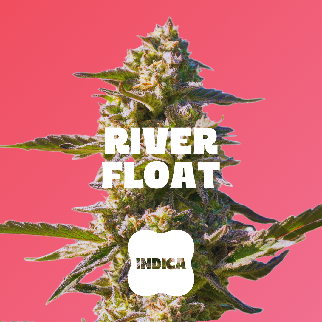 Watermelon - 20pc - River Float - Indica (100mg THC)))
