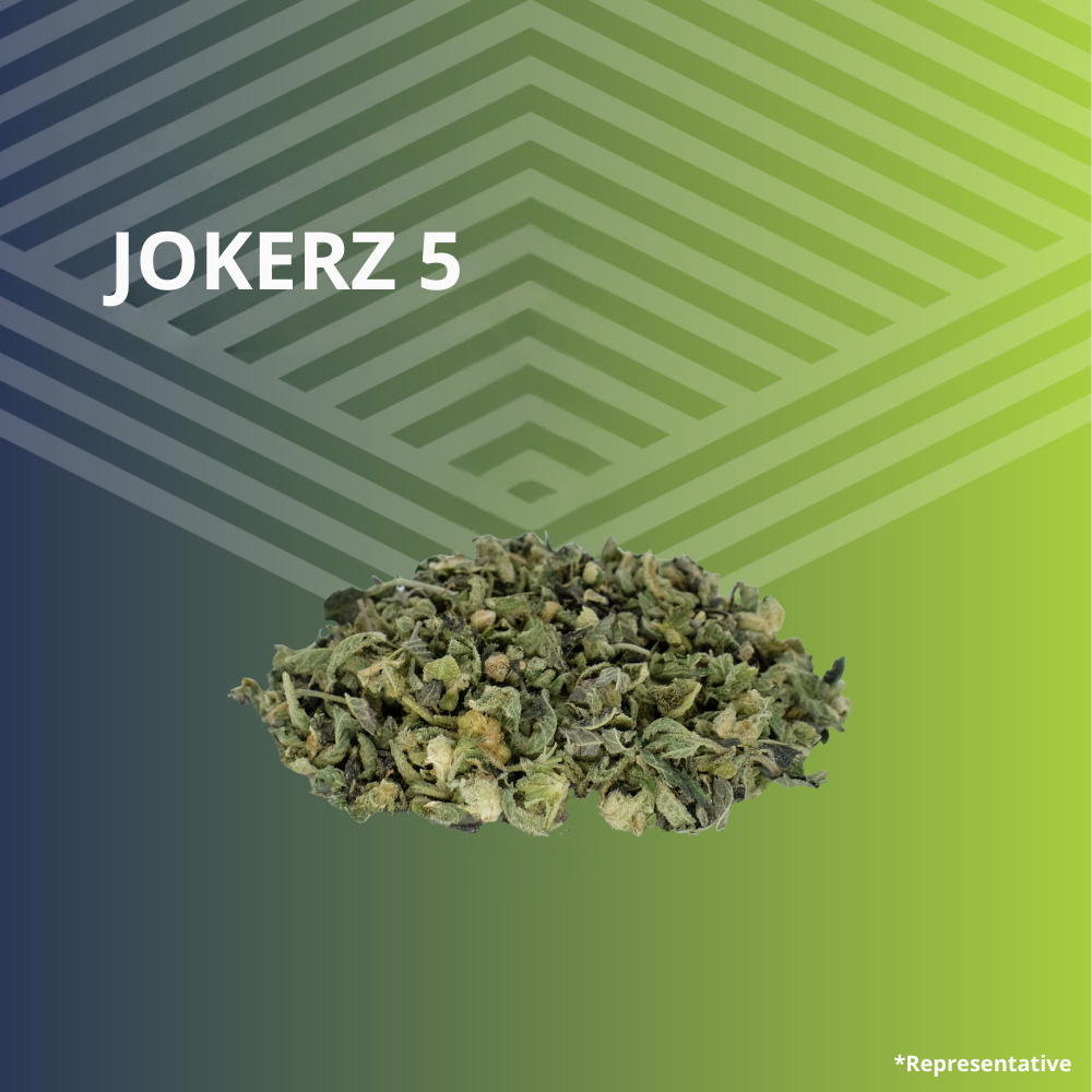 Jokerz 5 Trim