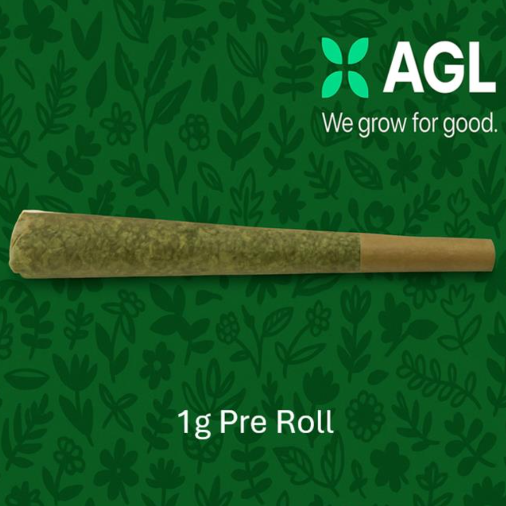 AGL 1g Pre Roll Animal Scout x Black Maple #22 (I) 01743