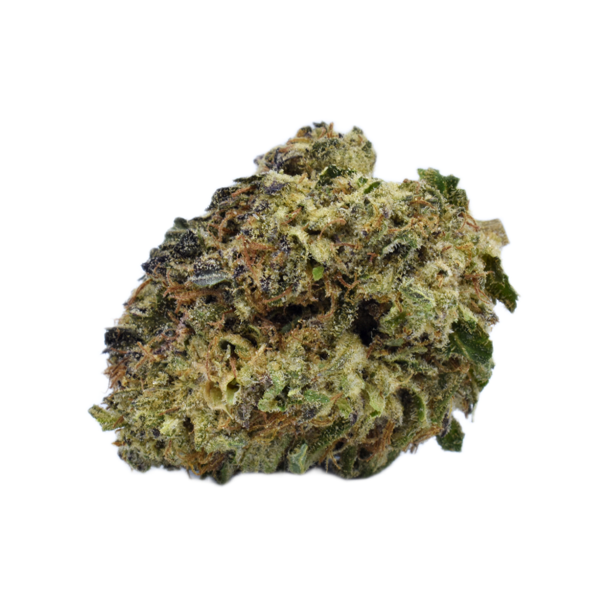 Black Skunk