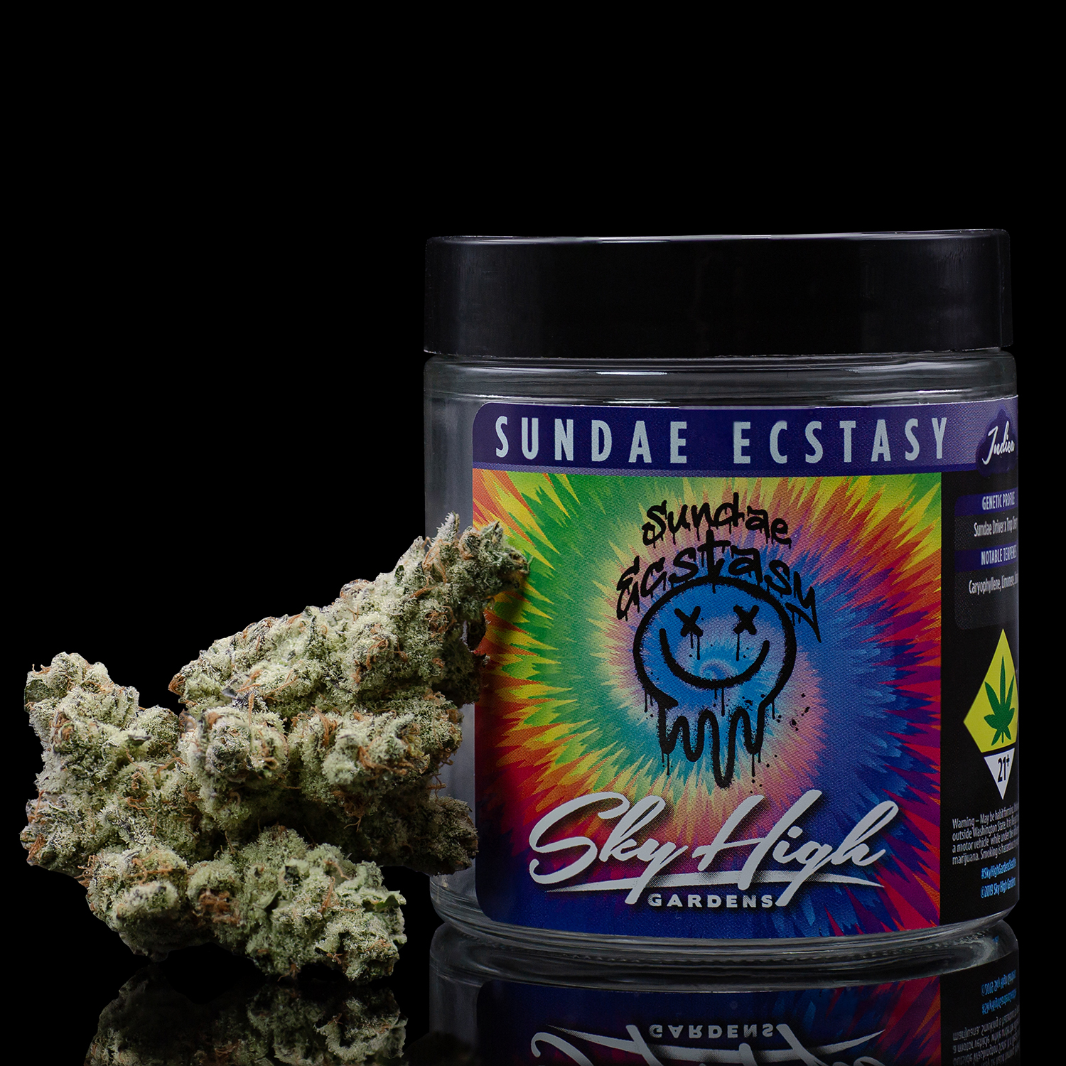 Sundae Ecstasy