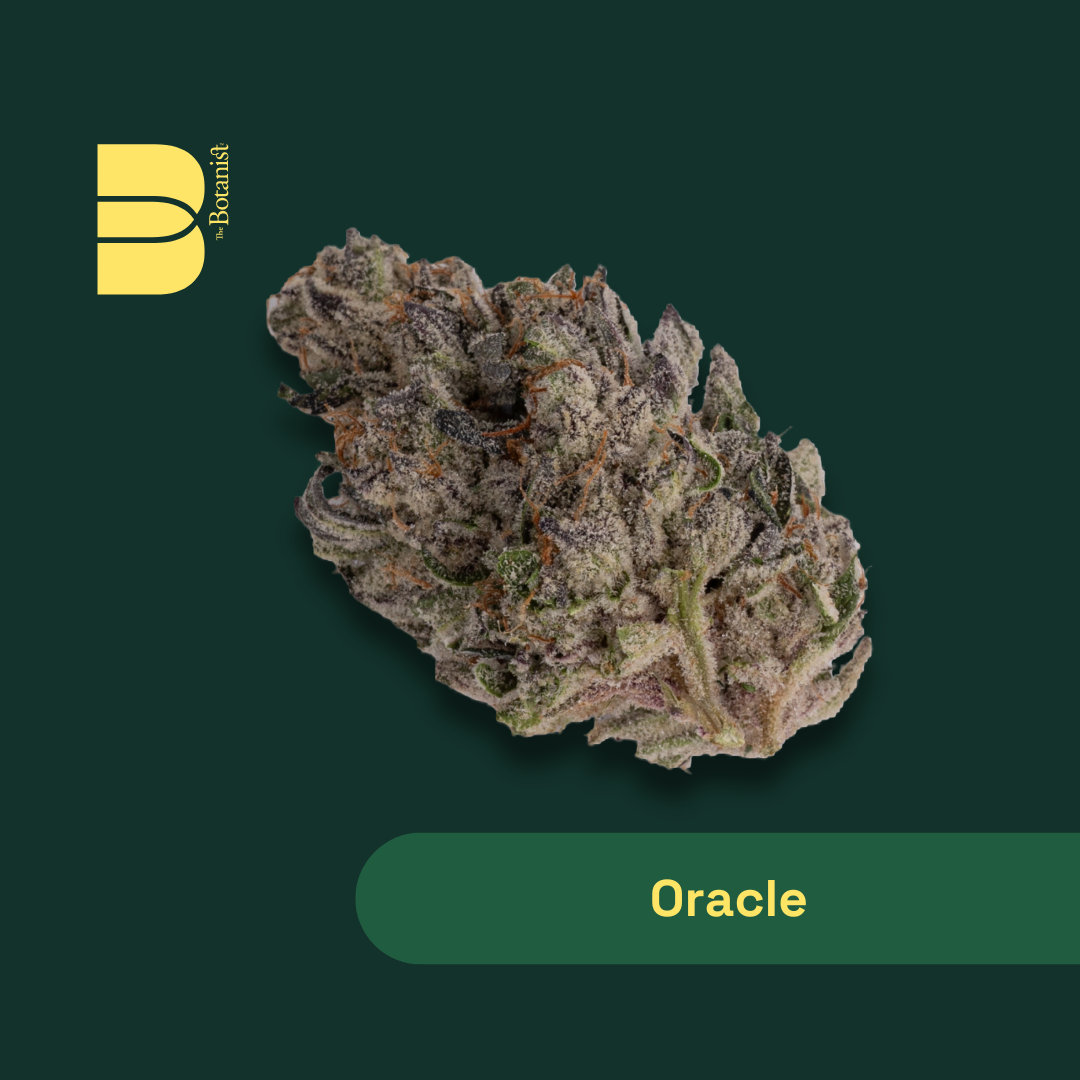 Oracle