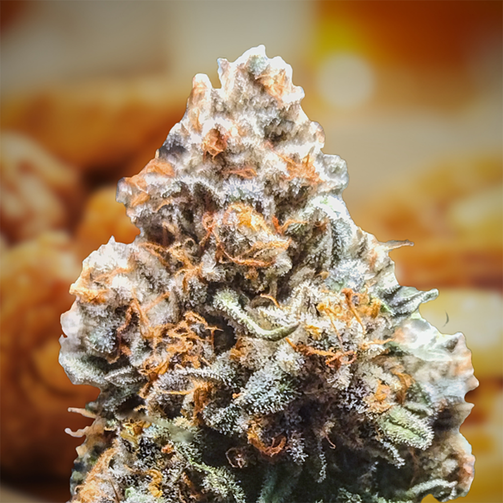Grandpas Cookies