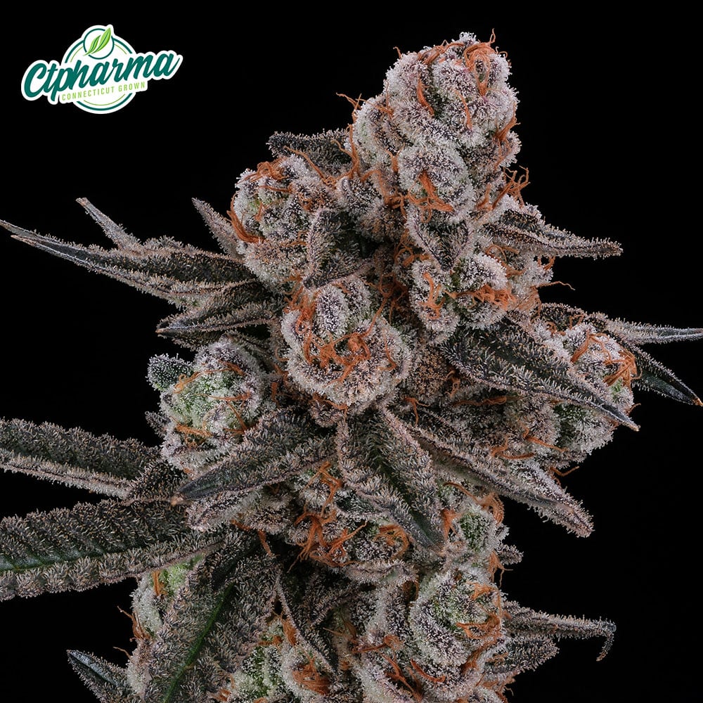 Glitter Bomb Flower I 27011 (3.5g)