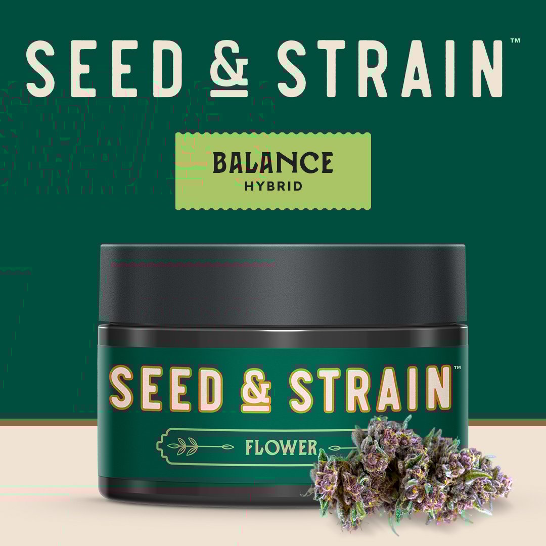 dd7d4276-65a2-4299-af9f-