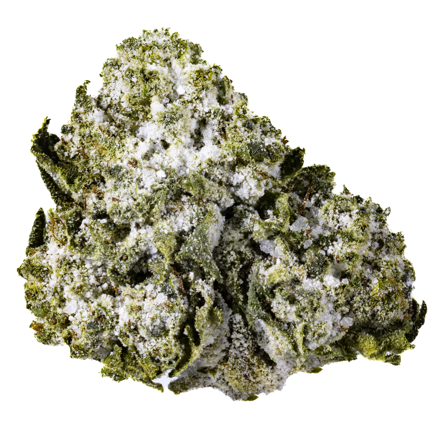 Jokerz Gelato