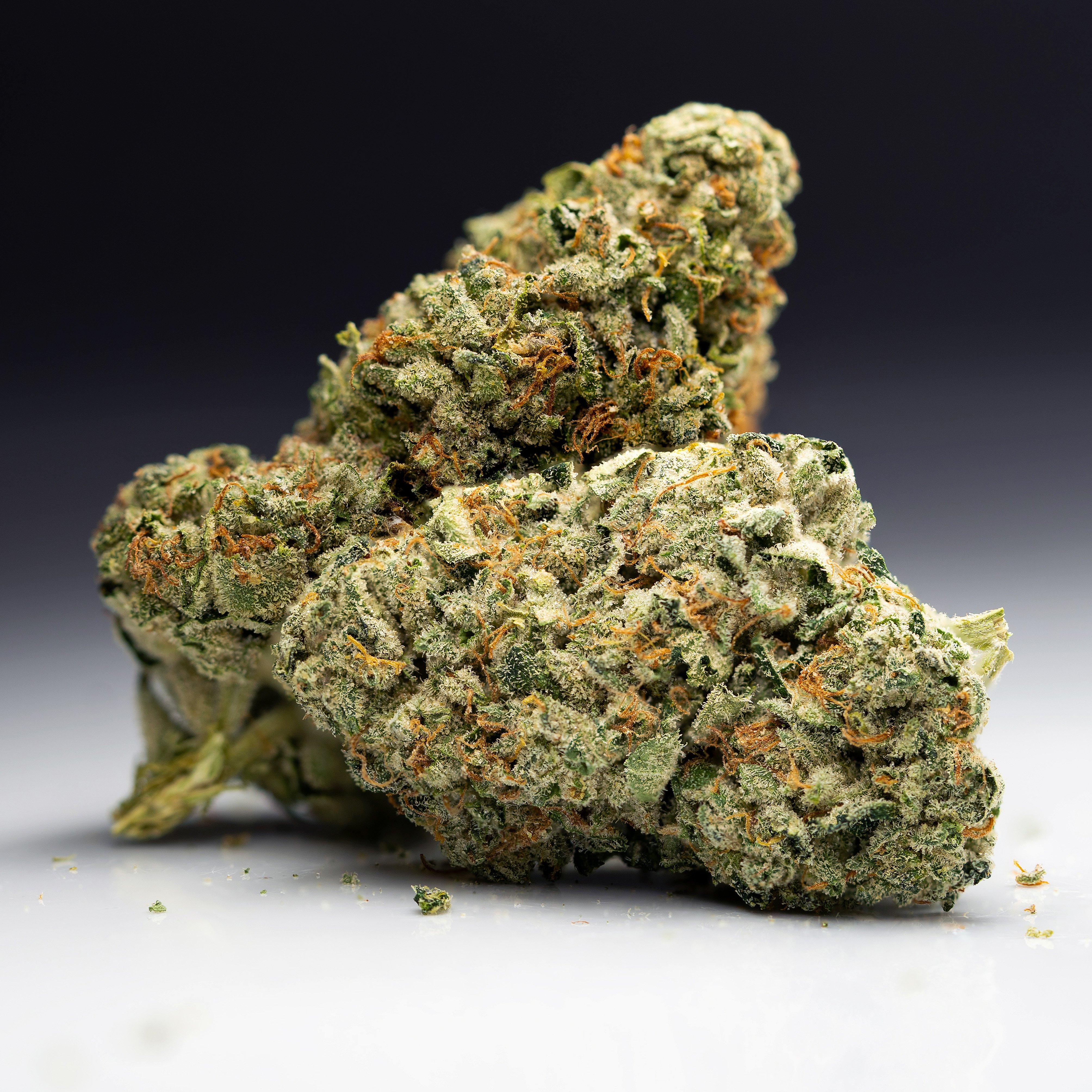 Louis XIII
