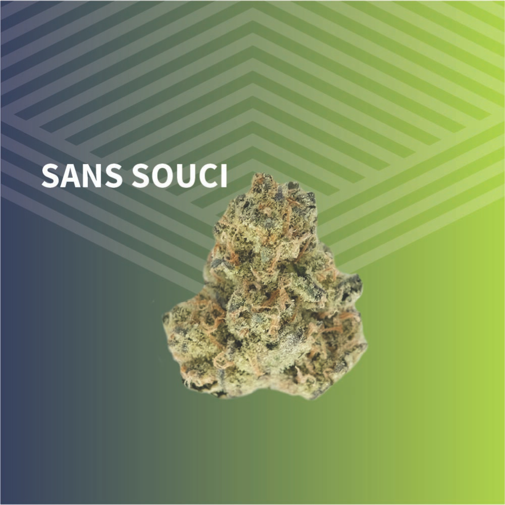 Sans Souci