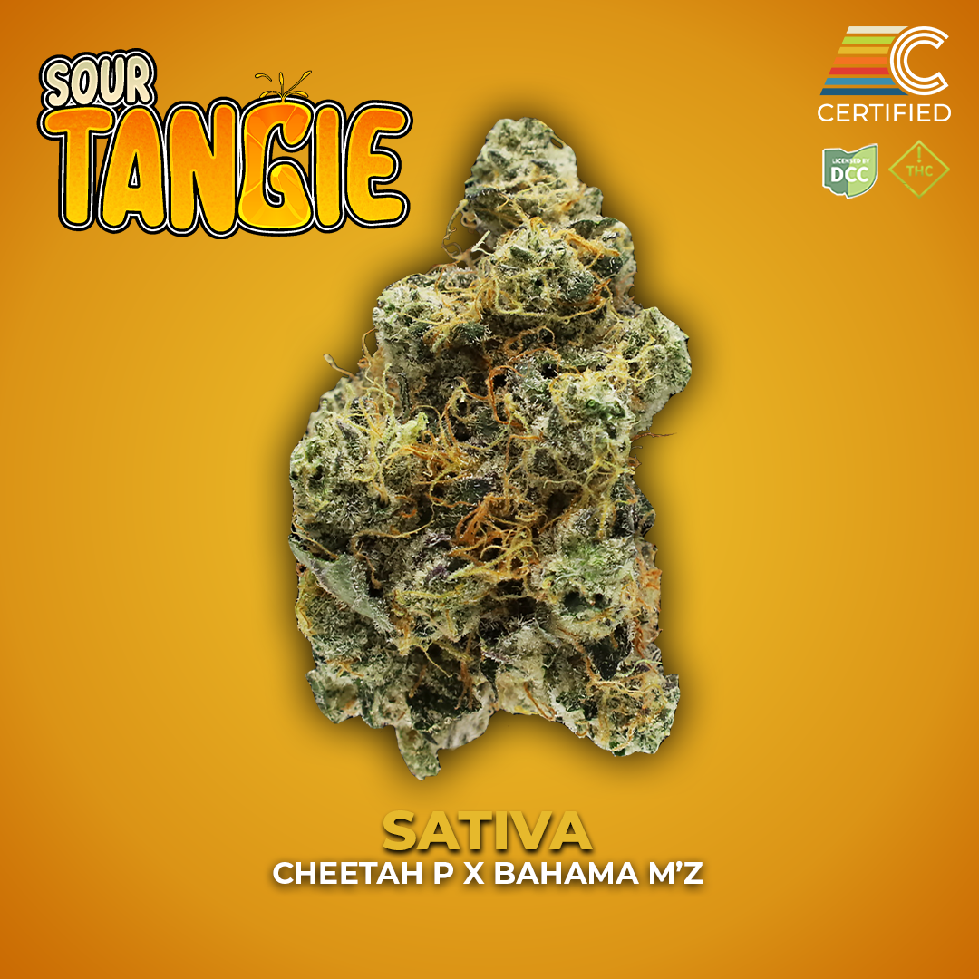 CERTIFIED CULTIVATORS - SOUR TANGIE  SATIVA