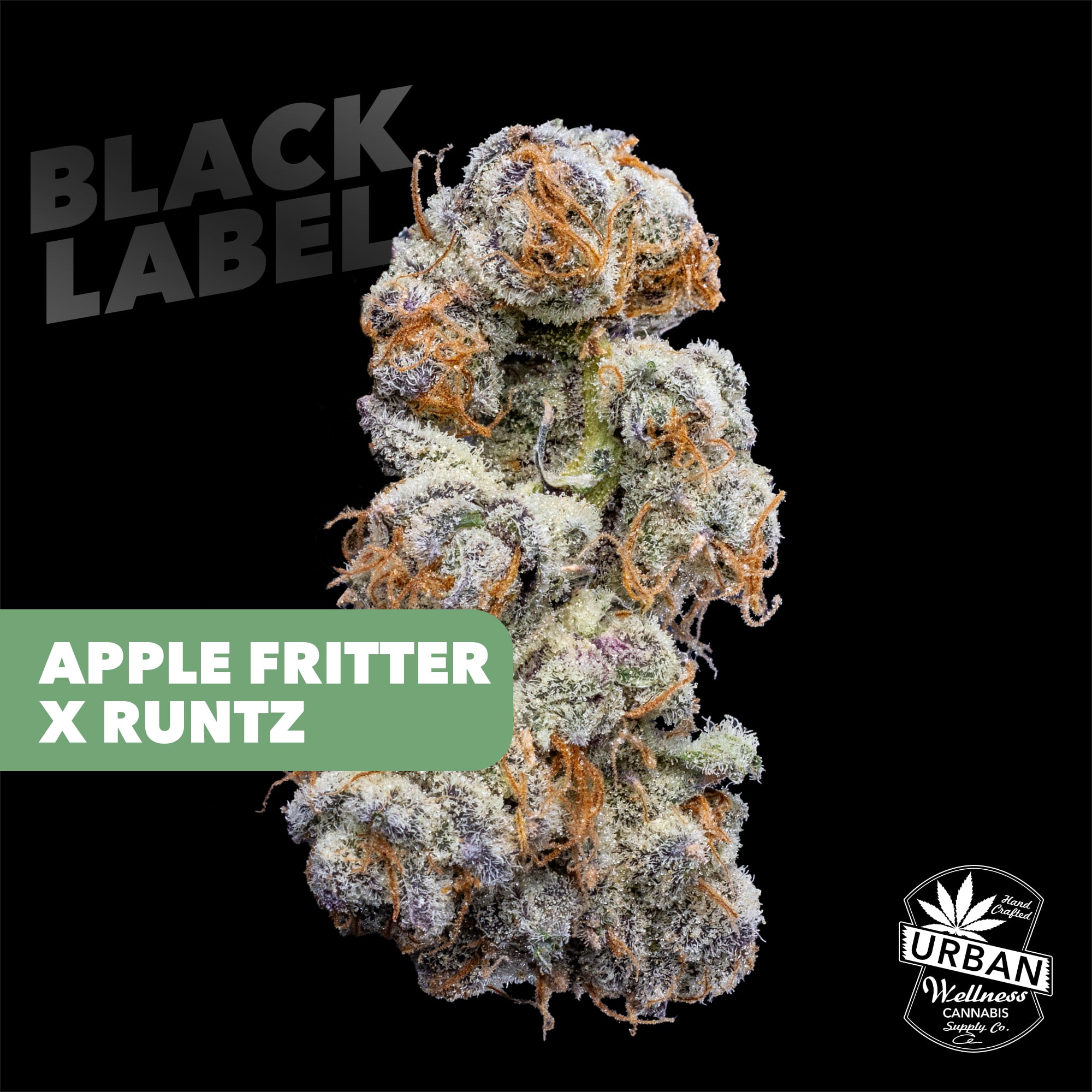 Black Label - Apple Fritter [4g]