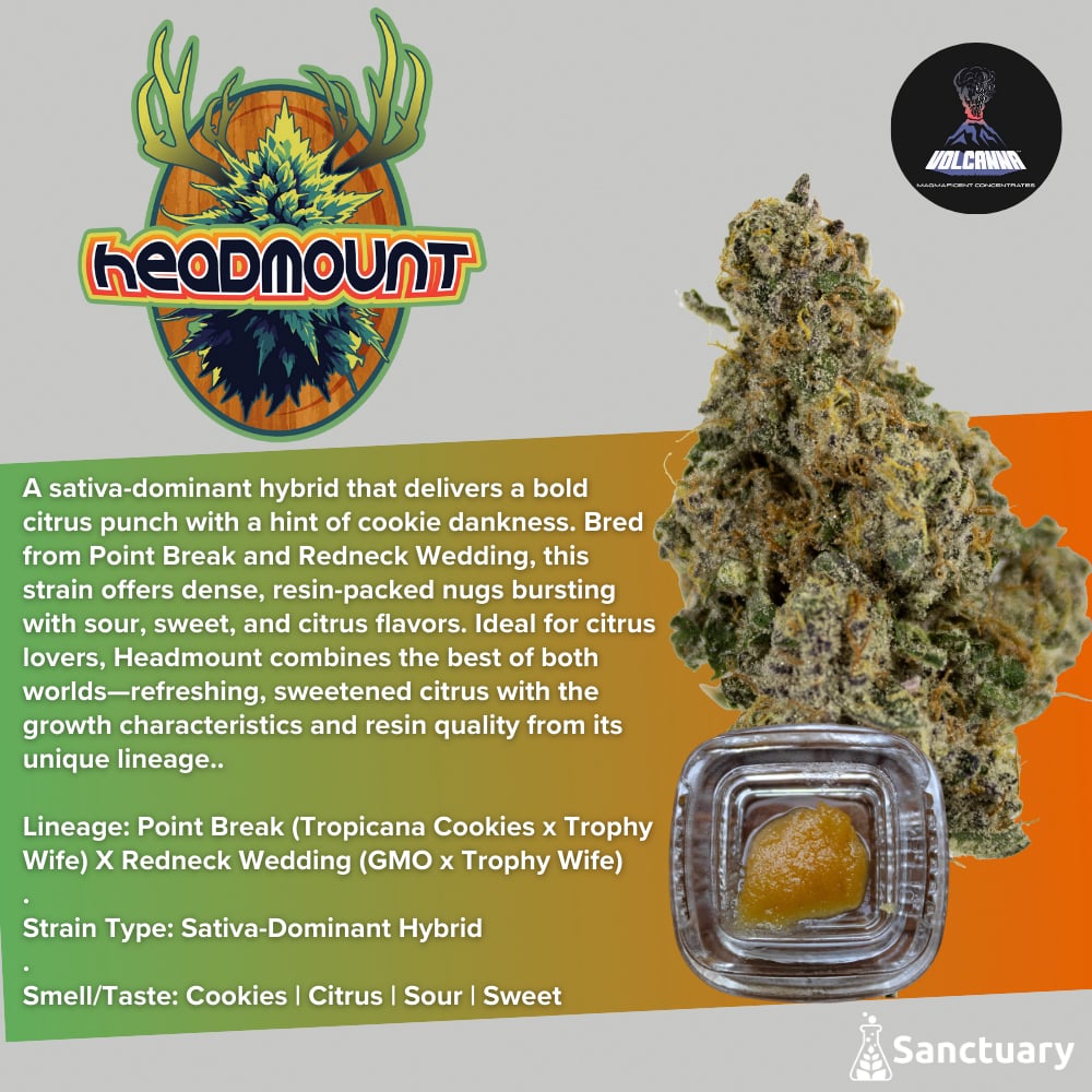 Sauce Baller Jar Headmount Cured